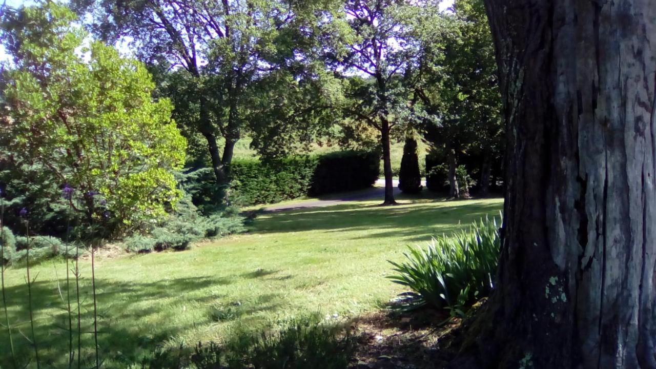 Bed and Breakfast Les Barrerres Hontanx Zewnętrze zdjęcie